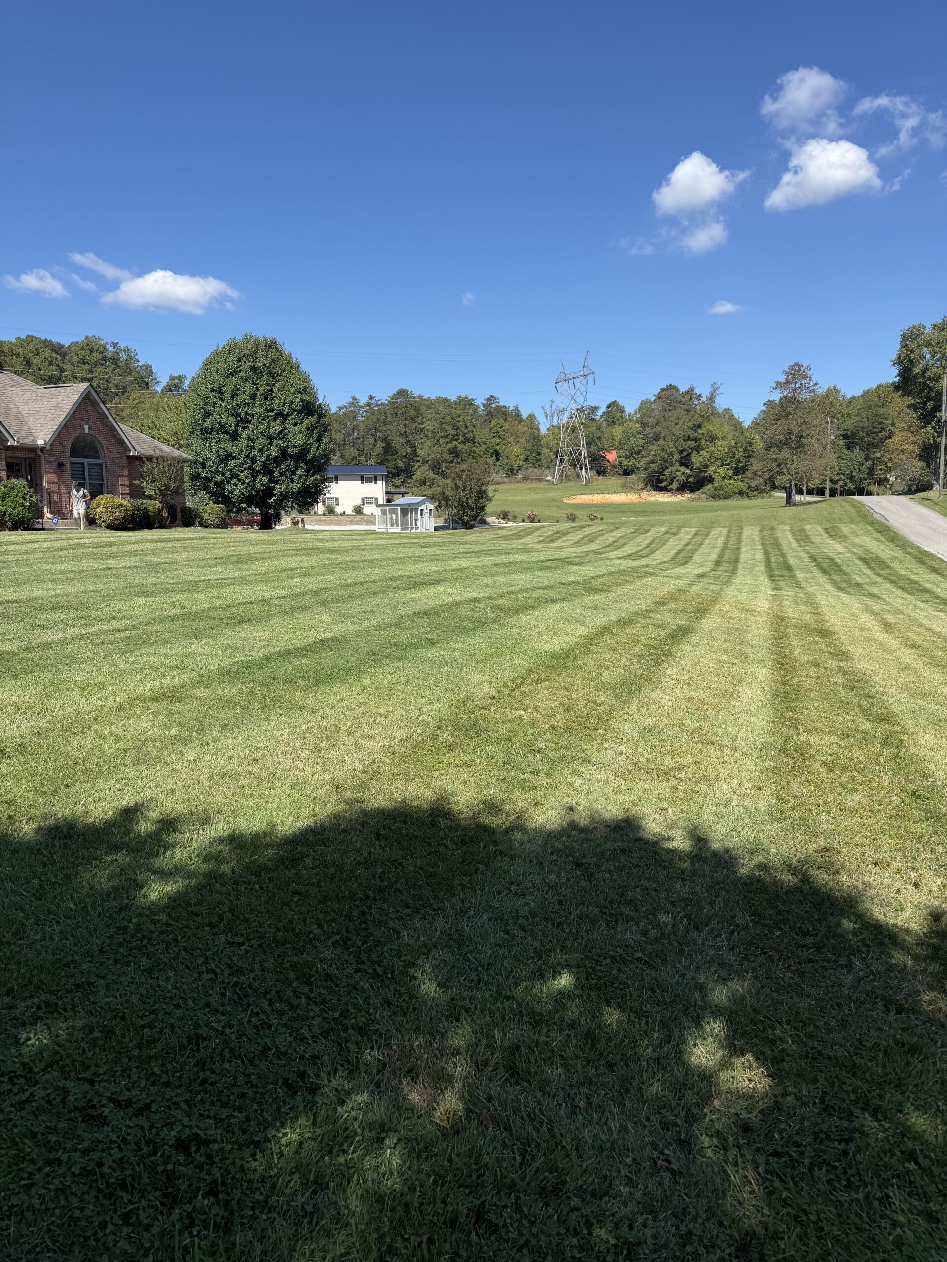 A large, neatly mowed lawn stretches toward trees and houses under a clear blue sky, with power lines visible in the distance.